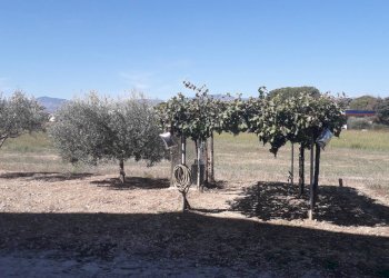 Foto 38 - Villa Via Monte Vedlino, Manoppello - foto 38