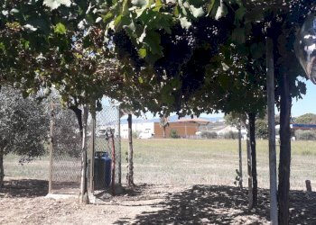 Foto 40 - Villa Via Monte Vedlino, Manoppello - foto 40