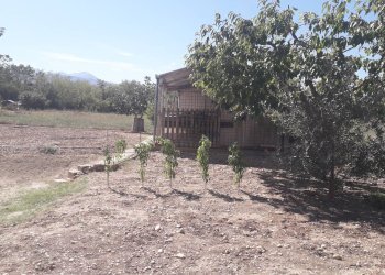 Foto 42 - Villa Via Monte Vedlino, Manoppello - foto 42