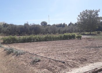 Foto 43 - Villa Via Monte Vedlino, Manoppello - foto 43