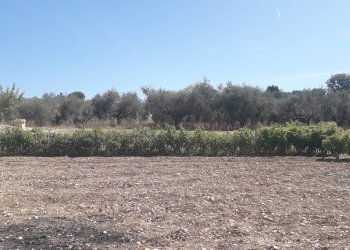 Foto 44 - Villa Via Monte Vedlino, Manoppello - foto 44