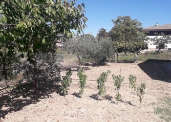 Foto 45 - Villa Via Monte Vedlino, Manoppello - foto 45