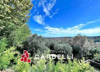 Foto 9 - Independent house Viale della Repubblica
 
85, Civitanova Marche - photo 9