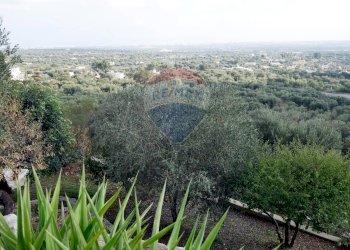 Non correlato - Villa Contrada Cristo Re
 
57, Monopoli - foto 25