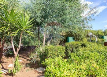 Giardino - Villa Via Favignana
 
32, Catania - foto 6