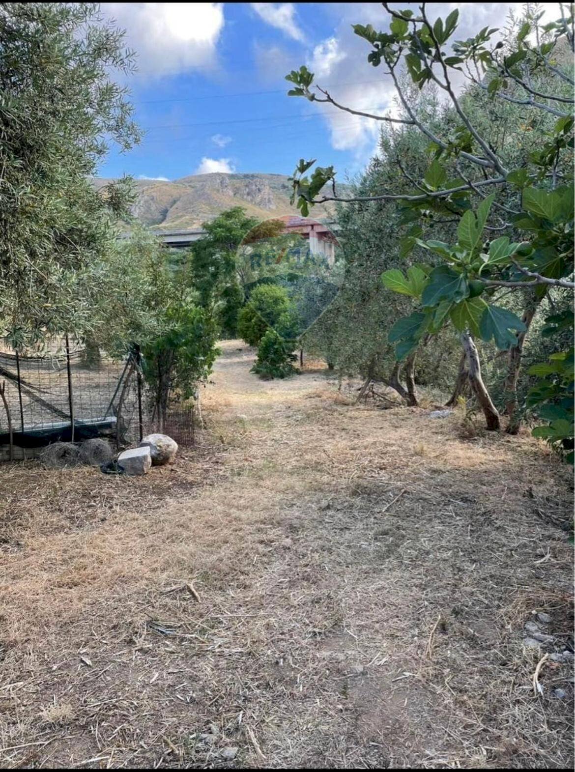 Giardino - Terreno edificabile Contrada Bragone
snc, Termini Imerese - foto 3