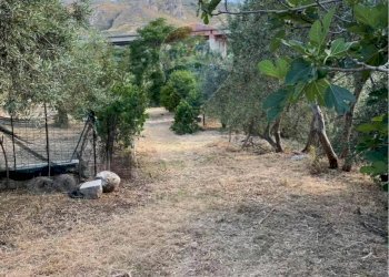 Giardino - Terreno edificabile Contrada Bragone
snc, Termini Imerese - foto 3