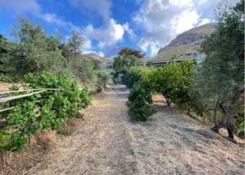 Giardino - Terreno edificabile Contrada Bragone
snc, Termini Imerese - foto 5