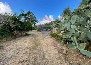 Giardino - Terreno edificabile Contrada Bragone
snc, Termini Imerese - foto 9