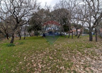 Giardino - Villa Via Bianca di Navarra
 
20, Pedara - foto 7