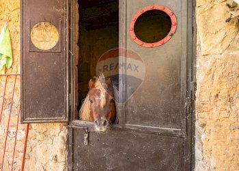 Foto 36 - Locale Commerciale l'antica stazione, Enna - foto 36