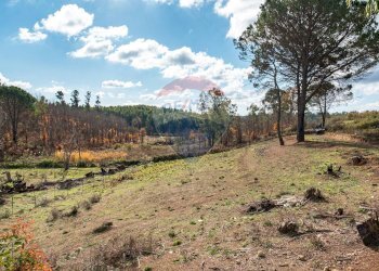 Foto 43 - Locale Commerciale l'antica stazione, Enna - foto 43