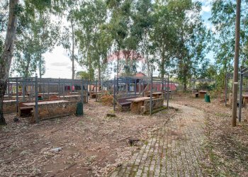 Foto 47 - Locale Commerciale l'antica stazione, Enna - foto 47