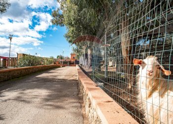 Foto 50 - Locale Commerciale l'antica stazione, Enna - foto 50