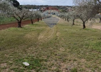 Vista delle montagne - Terreno agricolo cda renelle
 
snc, Caltagirone - foto 1