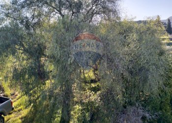 Non correlato - Terreno agricolo cda renelle
 
snc, Caltagirone - foto 3