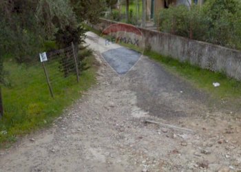 Giardino - Terreno agricolo cda renelle
 
snc, Caltagirone - foto 4