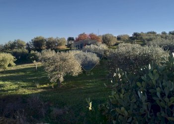 Giardino - Terreno agricolo cda renelle
 
snc, Caltagirone - foto 5