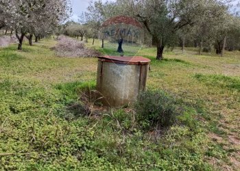 Giardino - Terreno agricolo cda renelle
 
snc, Caltagirone - foto 8