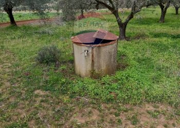 Giardino - Terreno agricolo cda renelle
 
snc, Caltagirone - foto 10