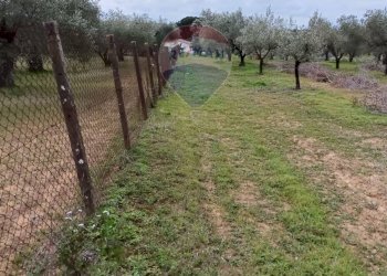 Giardino - Terreno agricolo cda renelle
 
snc, Caltagirone - foto 11