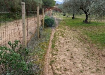 Giardino - Terreno agricolo cda renelle
 
snc, Caltagirone - foto 12