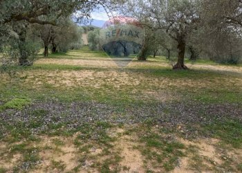 Giardino - Terreno agricolo cda renelle
 
snc, Caltagirone - foto 14