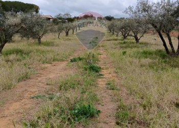 Vista delle montagne - Terreno agricolo cda renelle
 
snc, Caltagirone - foto 16