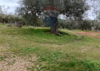 Giardino - Terreno agricolo cda renelle
 
snc, Caltagirone - foto 17