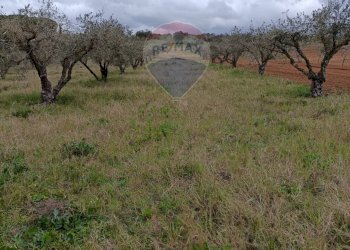 Vista delle montagne - Terreno agricolo cda renelle
 
snc, Caltagirone - foto 20