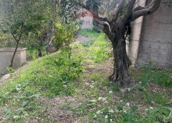 Giardino - Villa Contrada Vassallaggi
 
snc, San Cataldo - foto 40