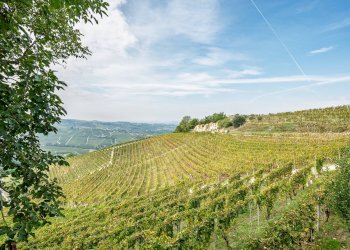 Foto 5 - Casa indipendente Strada Brosia
 
15, Castiglione Tinella - foto 5