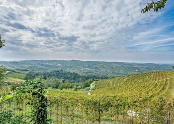 Foto 37 - Casa indipendente Strada Brosia
 
15, Castiglione Tinella - foto 37