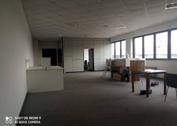 Foto 14 - Capannone Via delle Industrie, Vignate - foto 14