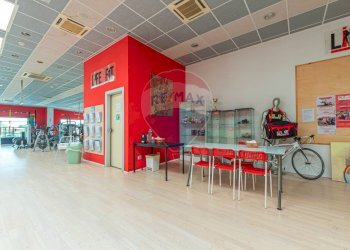 Sala da pranzo - Locale Commerciale VIA DEL CONCHELLO
 
9, Canossa - foto 5