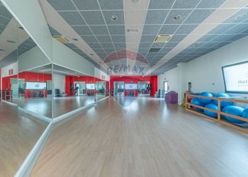 Palestra - Locale Commerciale VIA DEL CONCHELLO
 
9, Canossa - foto 10