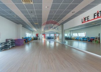 Palestra - Locale Commerciale VIA DEL CONCHELLO
 
9, Canossa - foto 15