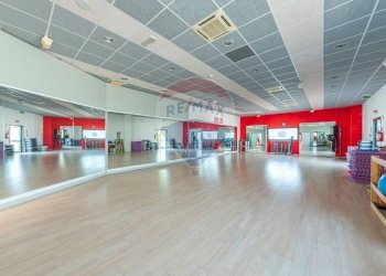 Palestra - Locale Commerciale VIA DEL CONCHELLO
 
9, Canossa - foto 16