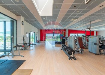 Palestra - Locale Commerciale VIA DEL CONCHELLO
 
9, Canossa - foto 46