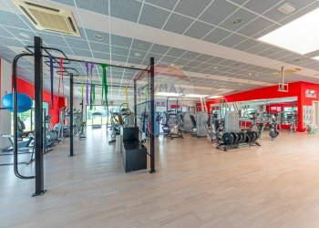 Palestra - Locale Commerciale VIA DEL CONCHELLO
 
9, Canossa - foto 1