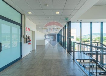 Ricezione / Lobby - Locale Commerciale VIA DEL CONCHELLO
 
9, Canossa - foto 51