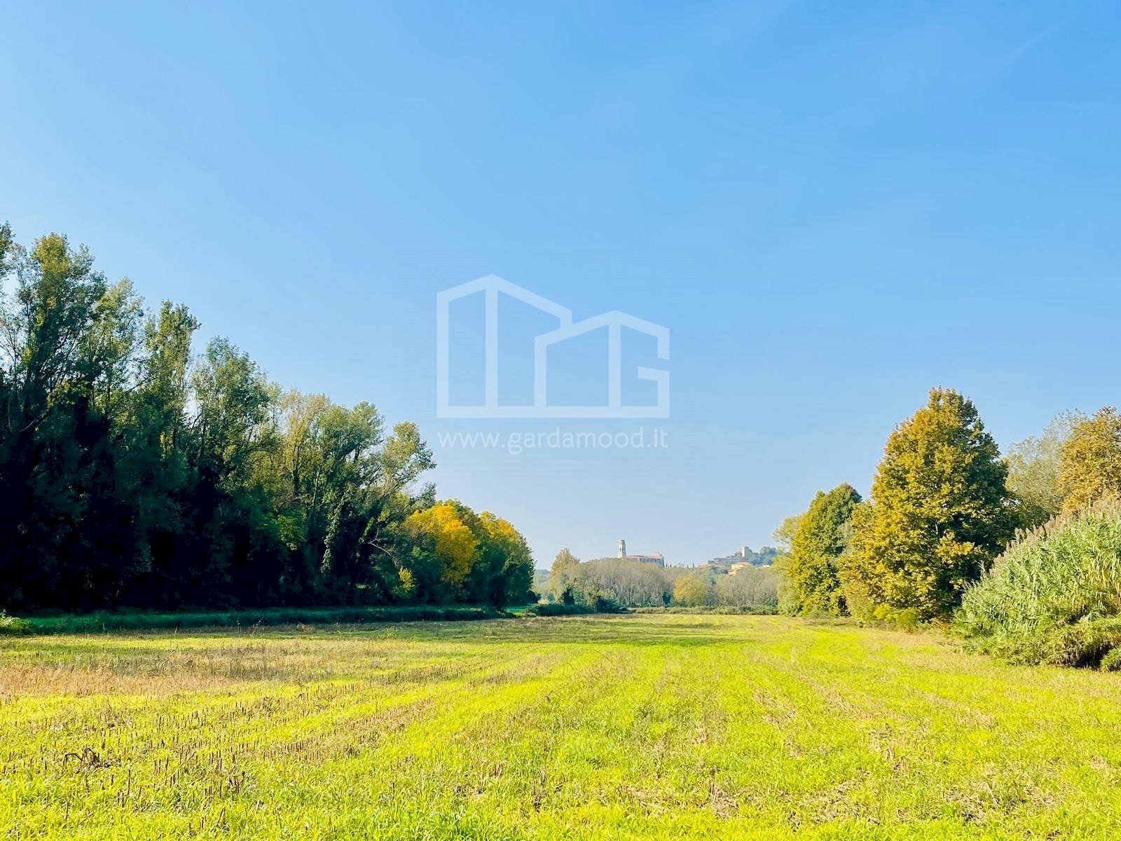 Foto 1 - Agricultural land Monzambano - photo 1