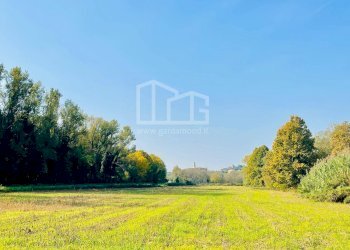 Foto 1 - Terreno agricolo Monzambano - foto 1