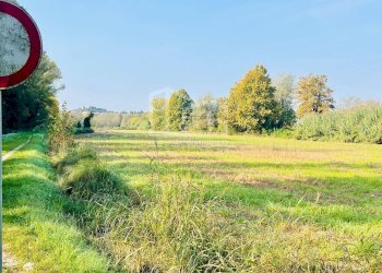 Foto 4 - Terreno agricolo Monzambano - foto 4