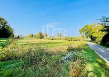 Foto 6 - Terreno agricolo Monzambano - foto 6