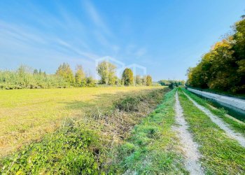 Foto 14 - Terreno agricolo Monzambano - foto 14