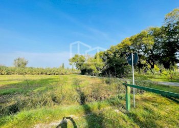 Foto 15 - Terreno agricolo Monzambano - foto 15