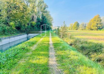 Foto 17 - Terreno agricolo Monzambano - foto 17