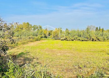 Foto 18 - Terreno agricolo Monzambano - foto 18