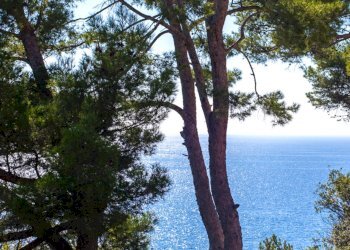 Foto 22 - Trilocale Via Pini d'Aleppo
 
22, Varazze - foto 22